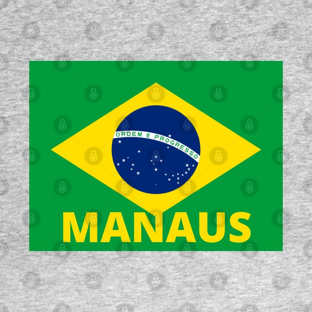 Manaus City in Brazilian Flag by aybe7elf